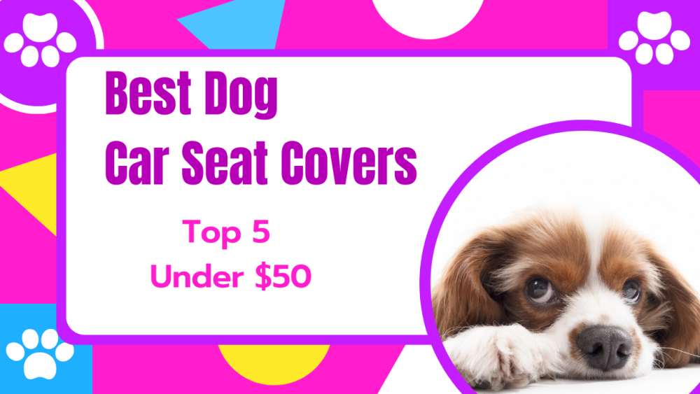 Best Dog Car Seat Covers product link to Amazon.