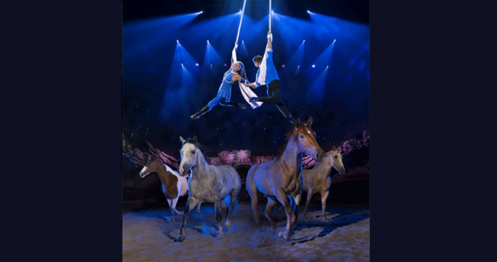 Dolly Parton’s Dixie Stampede Restaurant: Complete Guide & Dinner Show Review
